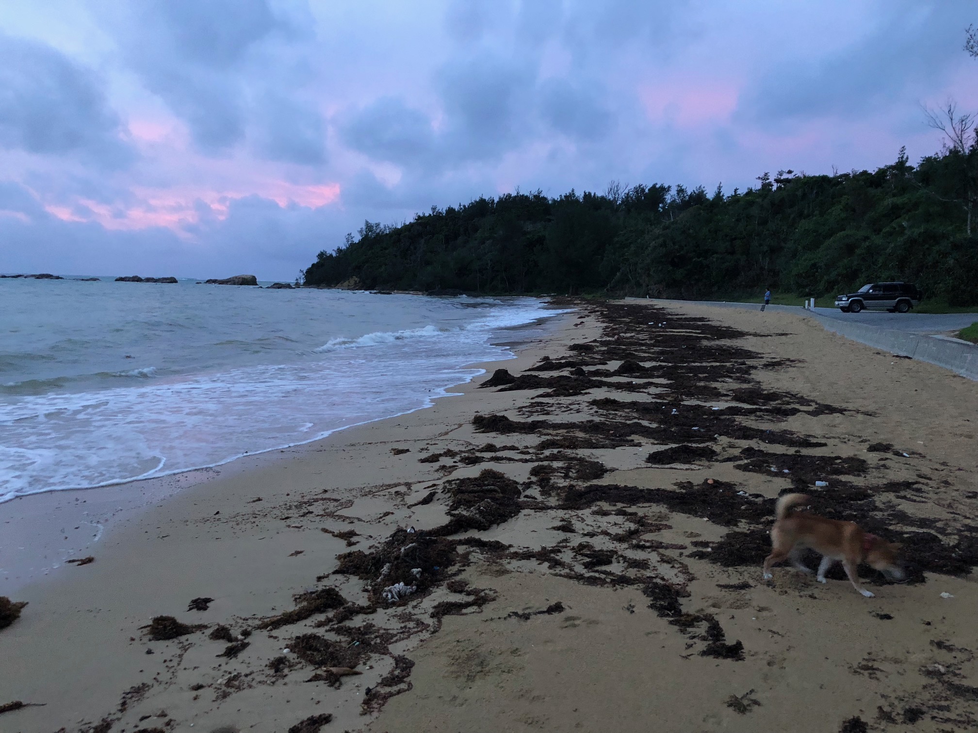 台風24号接近中！