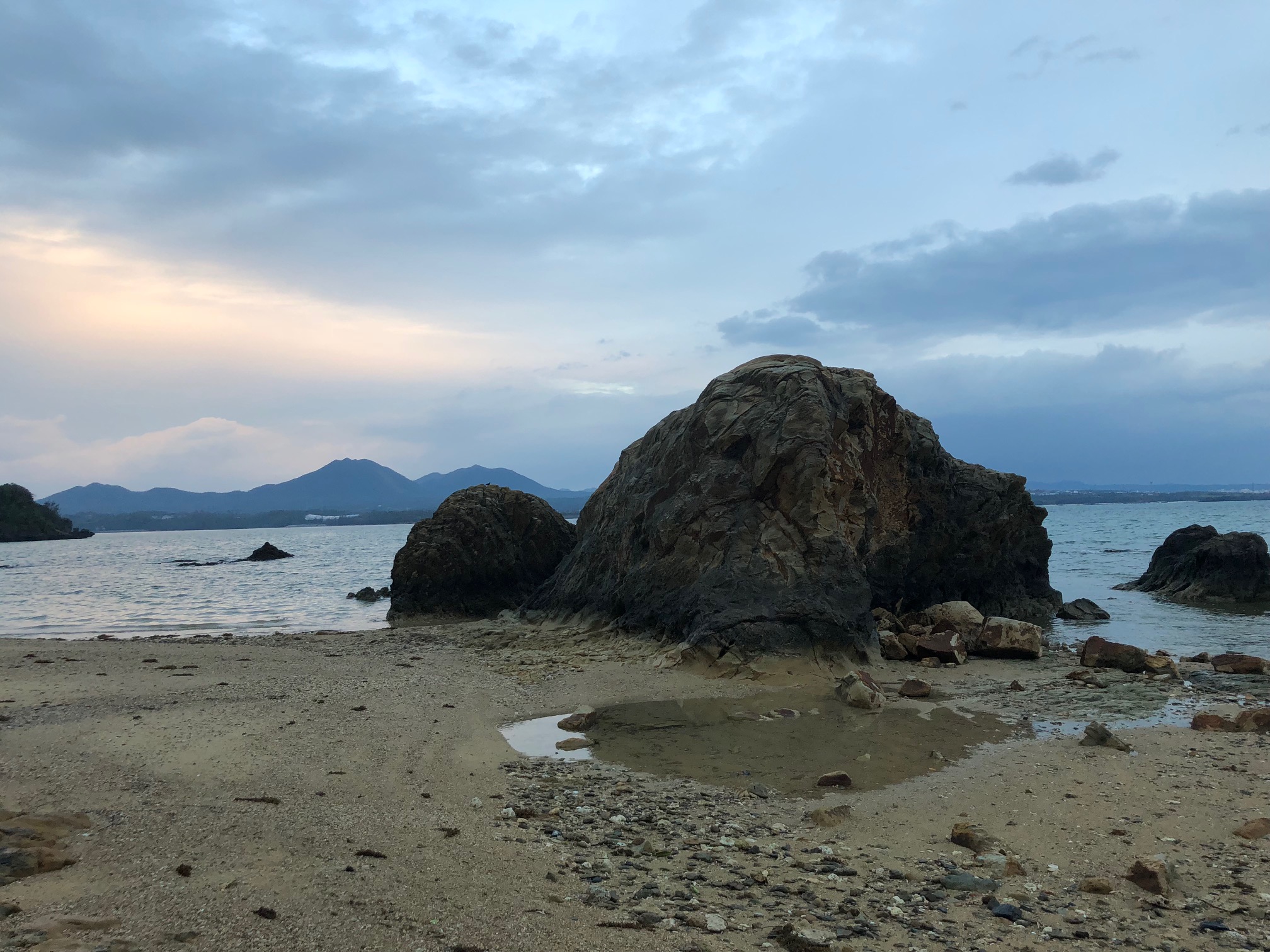 今日も小雨