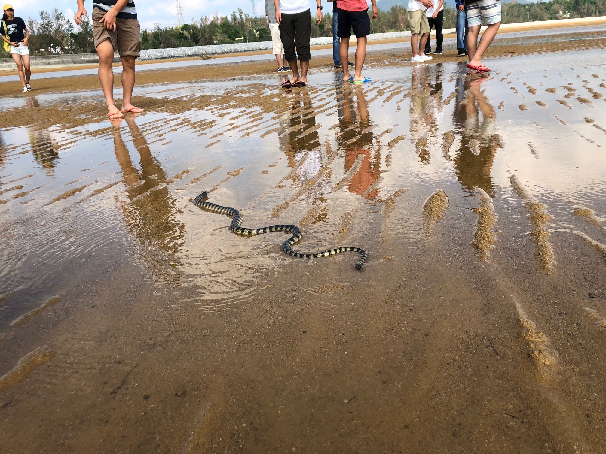 海へびにびっくり！